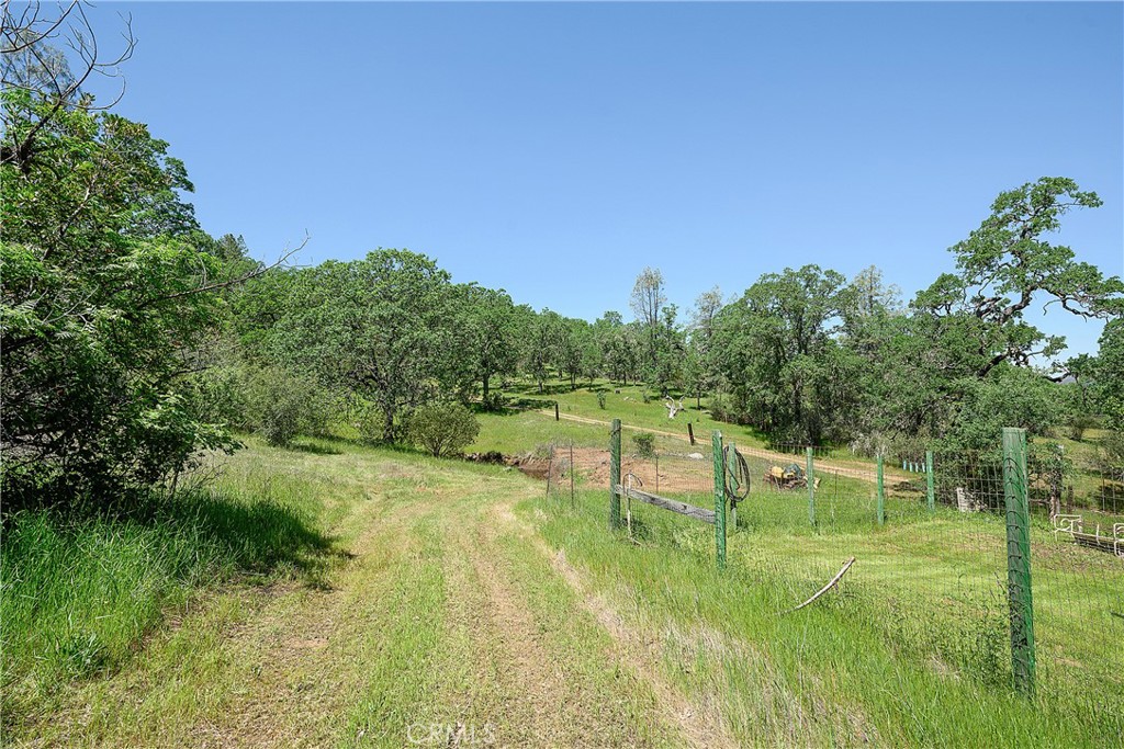 19665 Oat Hill Road Property Photo 8