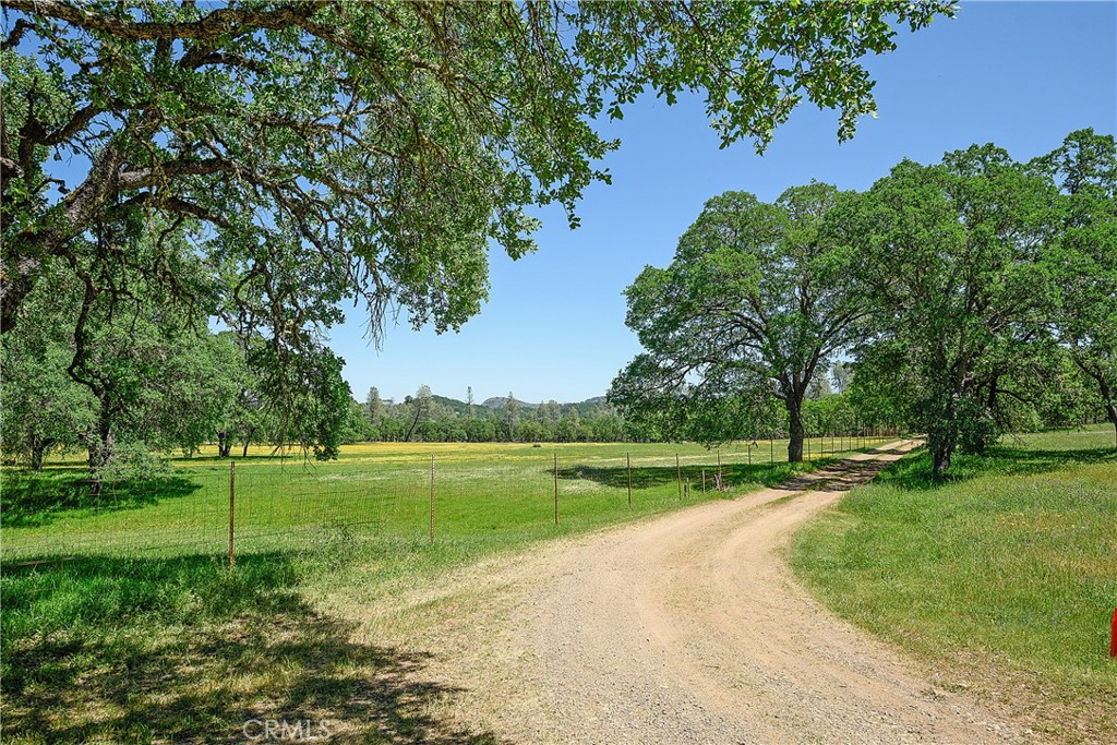 19665 Oat Hill Road Property Photo 9