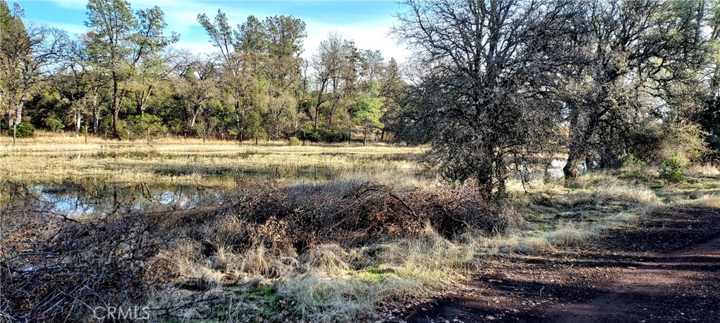 15151 Gray Pine Road Property Photo 2