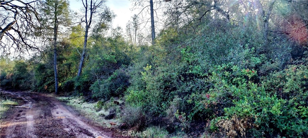 15151 Gray Pine Road Property Photo 3