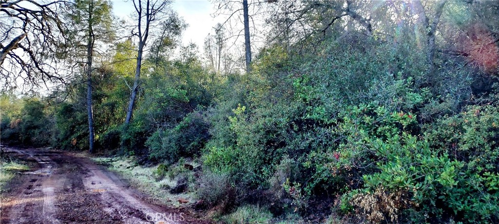 15151 Gray Pine Road Property Photo 3