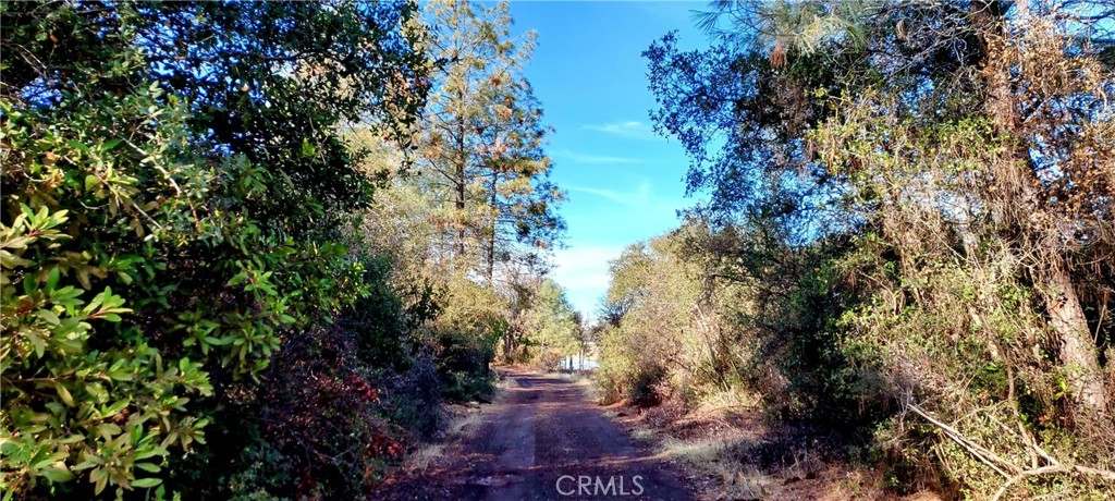 15151 Gray Pine Road Property Photo 6