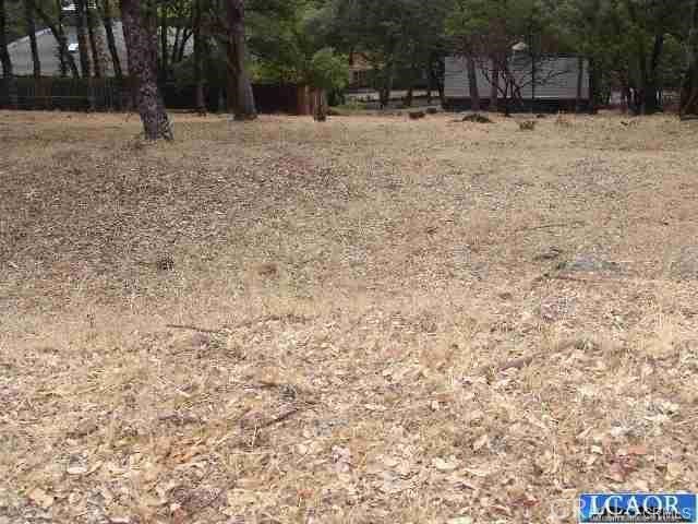 7911 Soda Bay Road Property Photo 4
