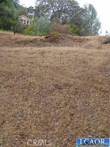 7911 Soda Bay Road Property Photo 5