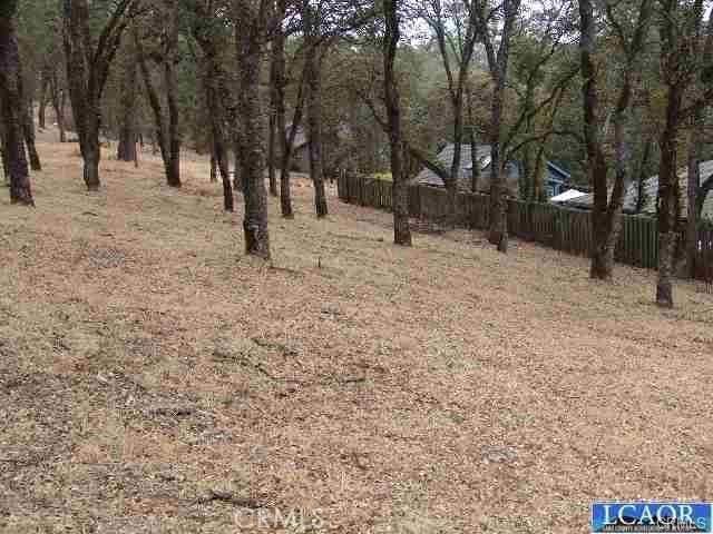 7911 Soda Bay Road Property Photo 6