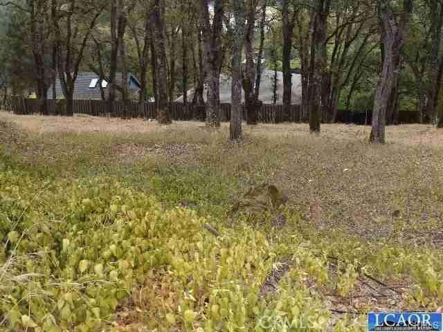 7911 Soda Bay Road Property Photo 7
