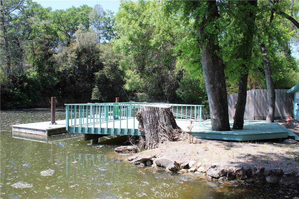 16745 Cache Creek Lane Property Photo 39
