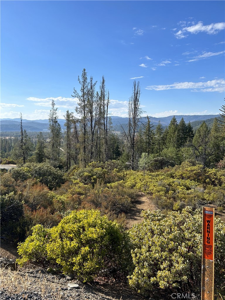 29956 Booth Crossing Road Property Photo 1