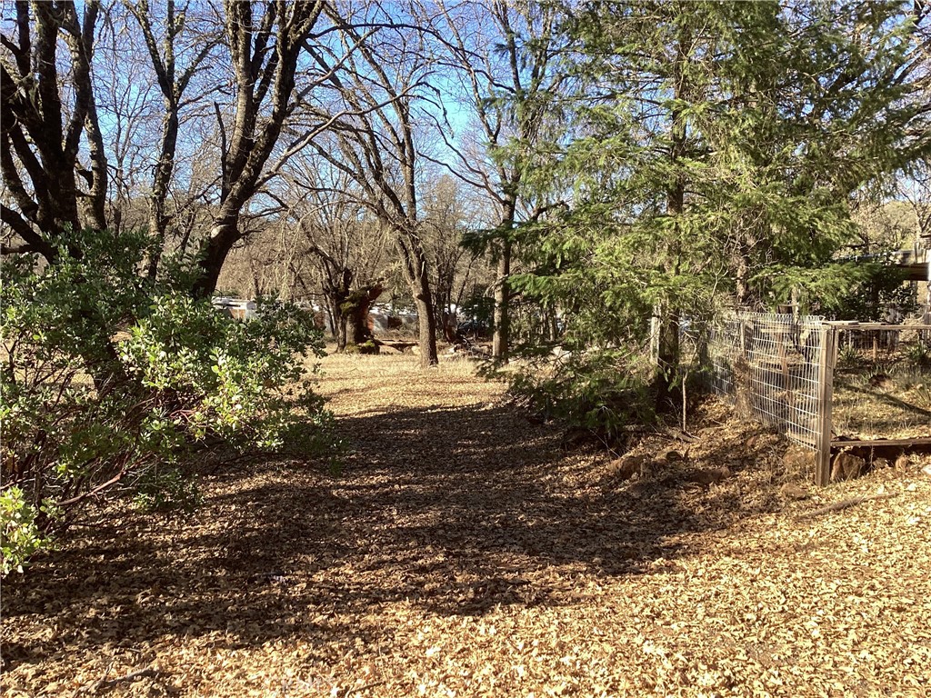 7672 Highway 29 Property Photo 3