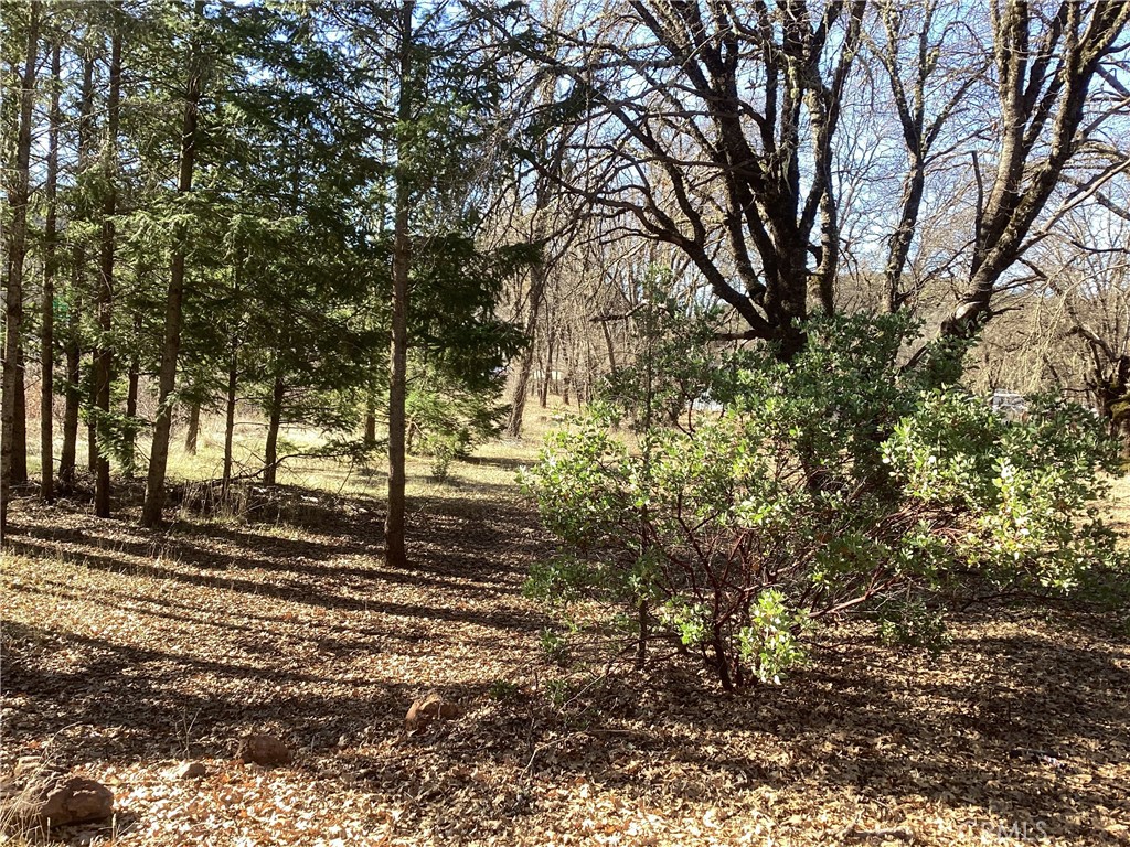 7672 Highway 29 Property Photo 4