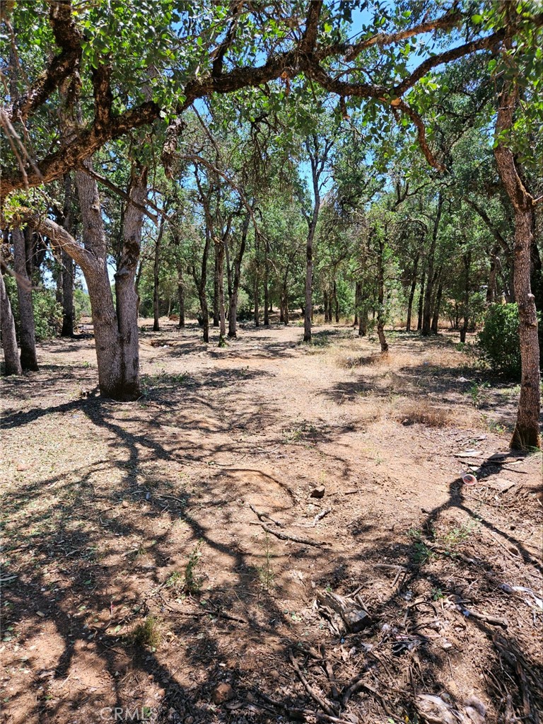 16288 12th Avenue Property Photo 1