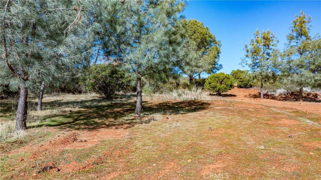19760 Jaclyn Drive Property Photo 12