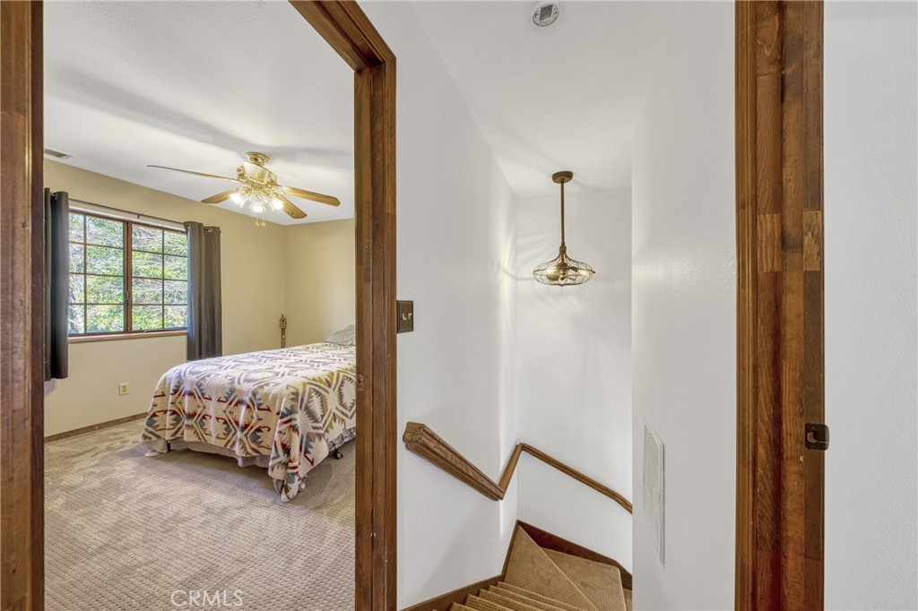 10512 Rosa Trail Property Photo 49