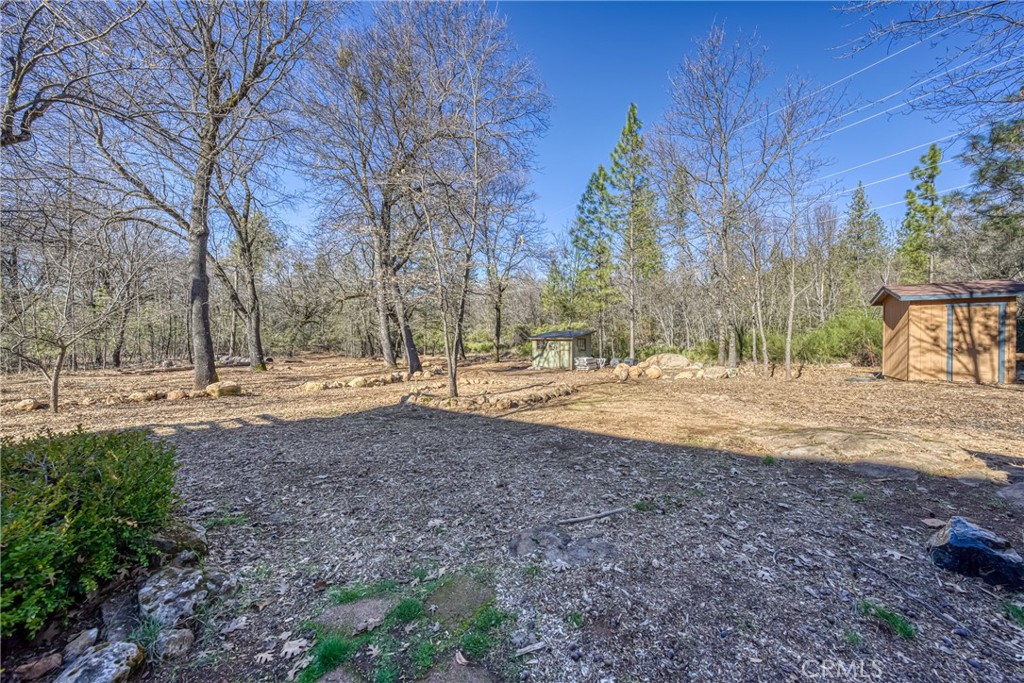 10512 Rosa Trail Property Photo 59
