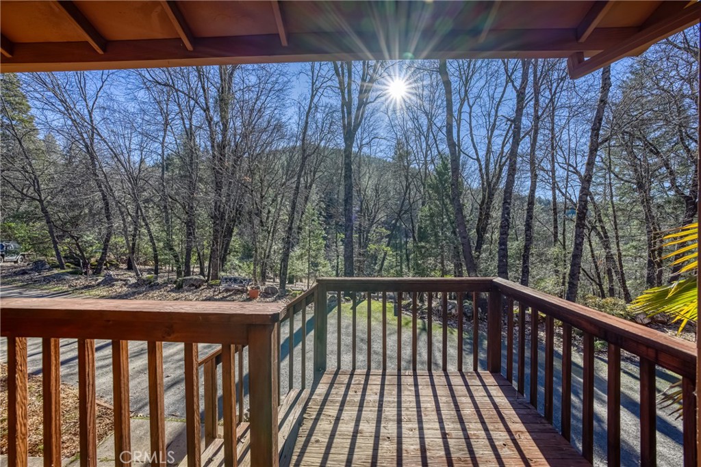 10512 Rosa Trail Property Photo 63