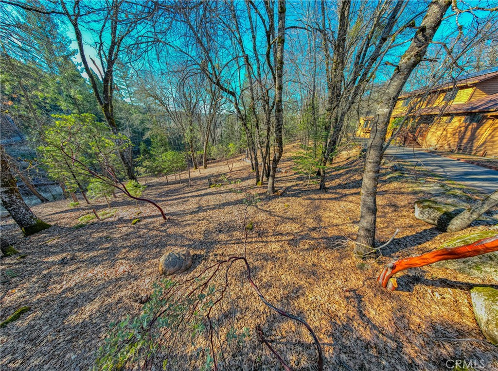 10512 Rosa Trail Property Photo 65
