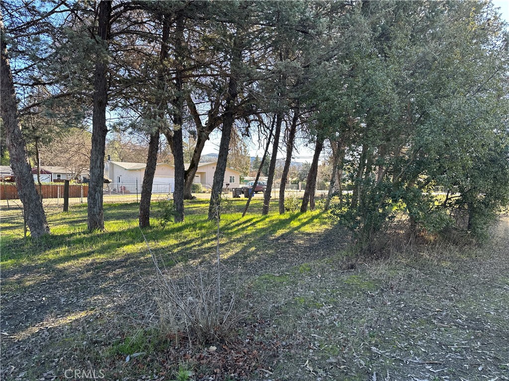 5235 Gaddy Lane Property Photo 39