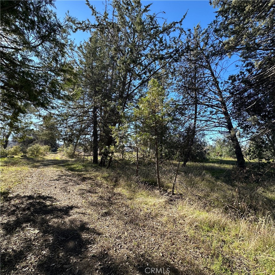 5235 Gaddy Lane Property Photo 43