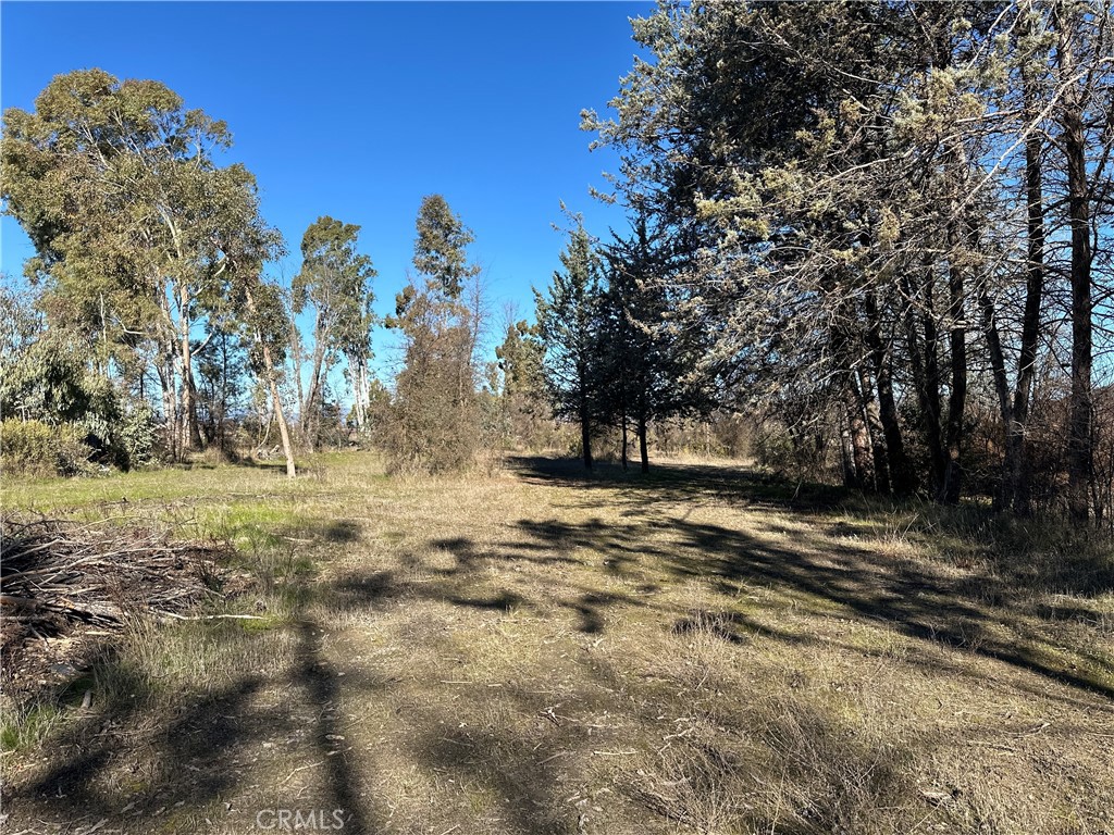 5235 Gaddy Lane Property Photo 45