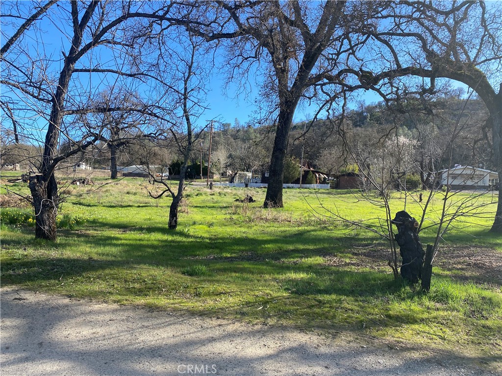 16387 Daly Street Property Photo 2