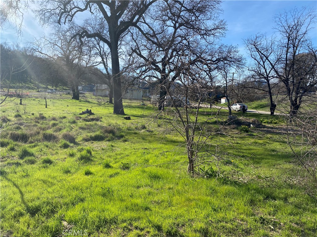 16387 Daly Street Property Photo 6