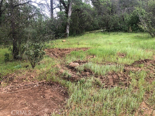 14515 Big Canyon Road Property Photo