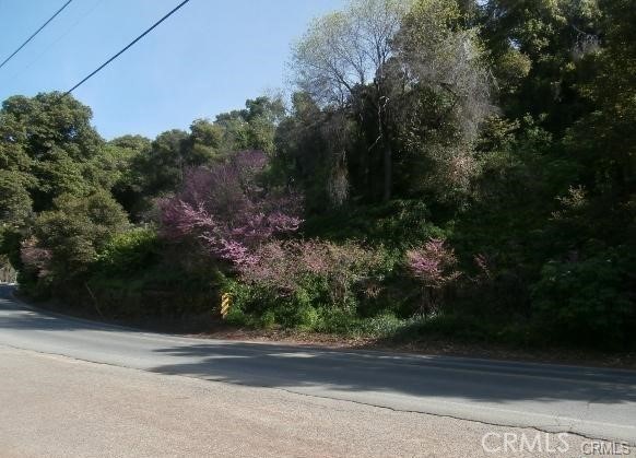 6285 Soda Bay Road Property Photo 2