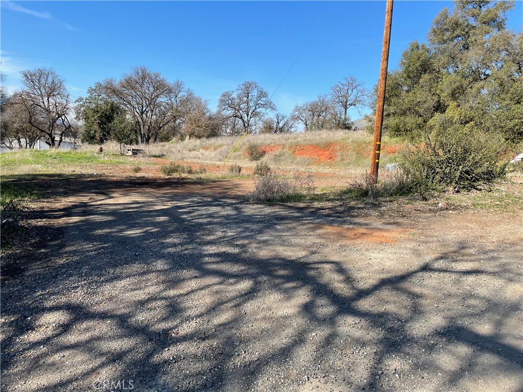 3725 Old Highway 53 Property Photo 1