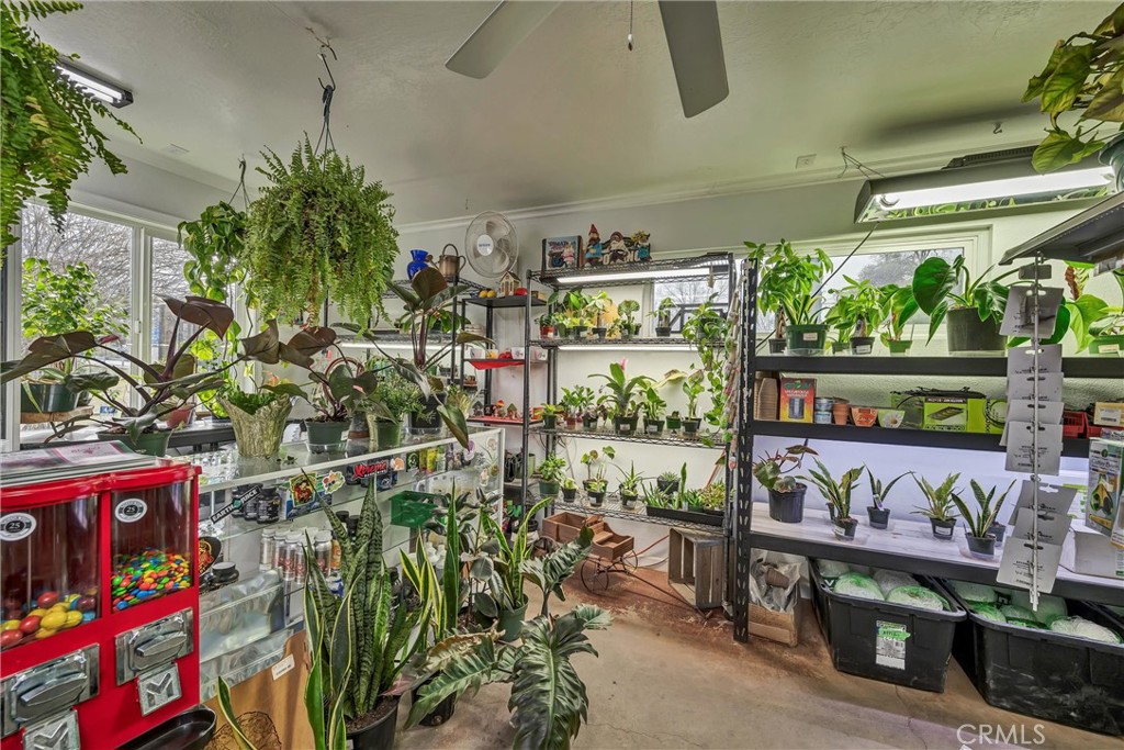 3360 Old Highway 53 Property Photo 8