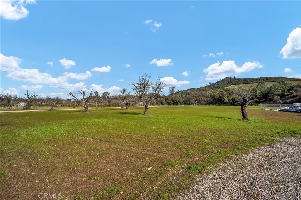 3360 Old Highway 53 Property Photo 14