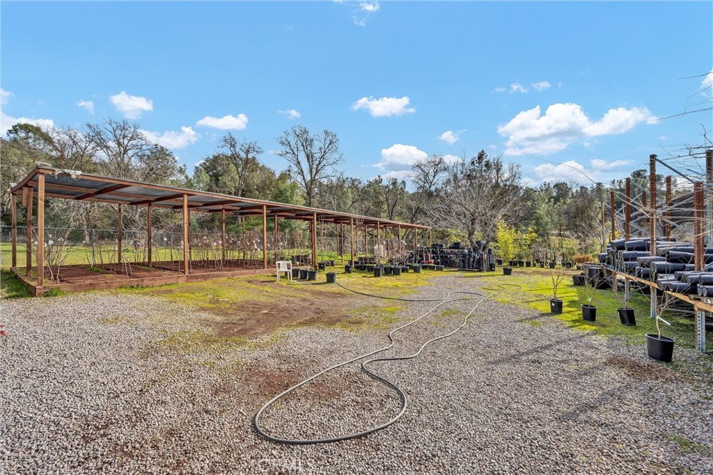 3360 Old Highway 53 Property Photo 18