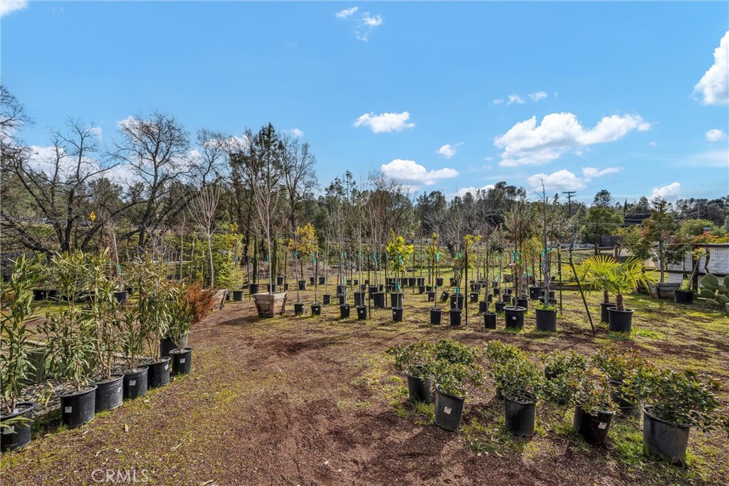 3360 Old Highway 53 Property Photo 21