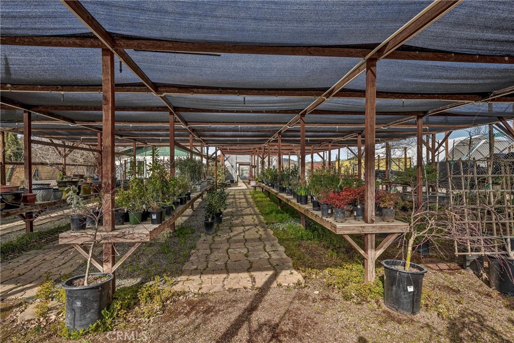 3360 Old Highway 53 Property Photo 22