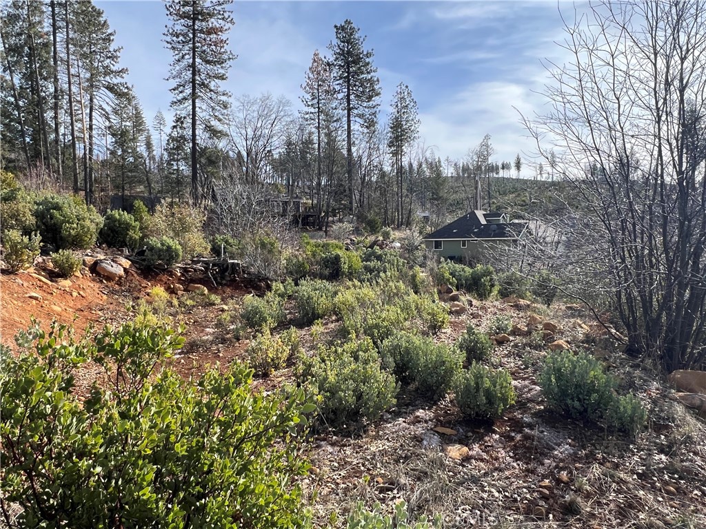 16070 Pine Street Property Photo