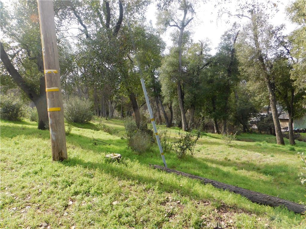 5560 Hale Avenue Property Photo 5