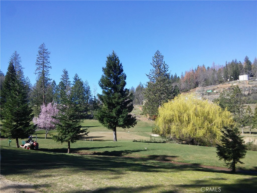 14636 Lema Lane Property Photo
