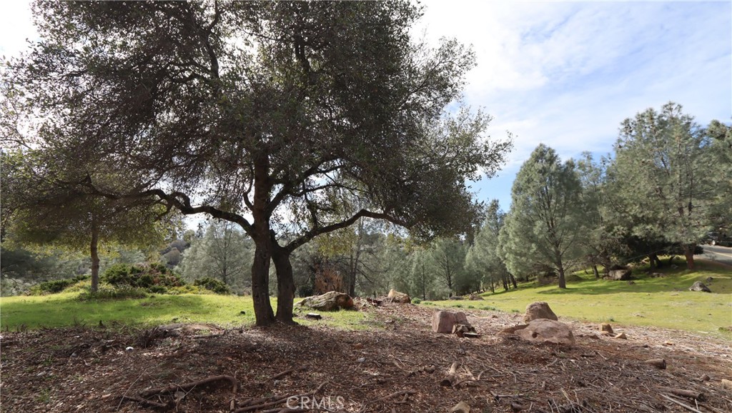 4641 Hawaina Way Property Photo 3