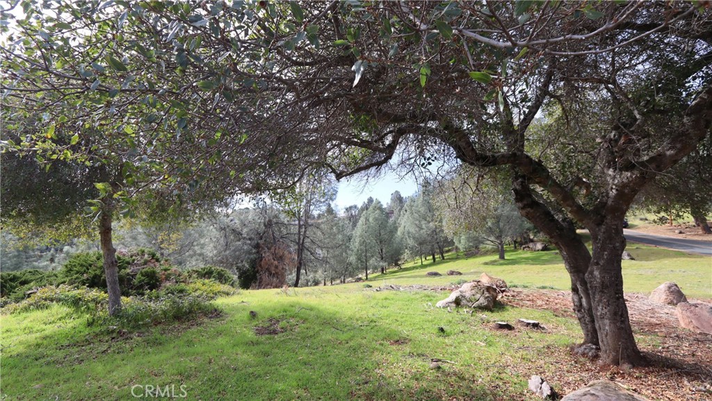 4641 Hawaina Way Property Photo 4