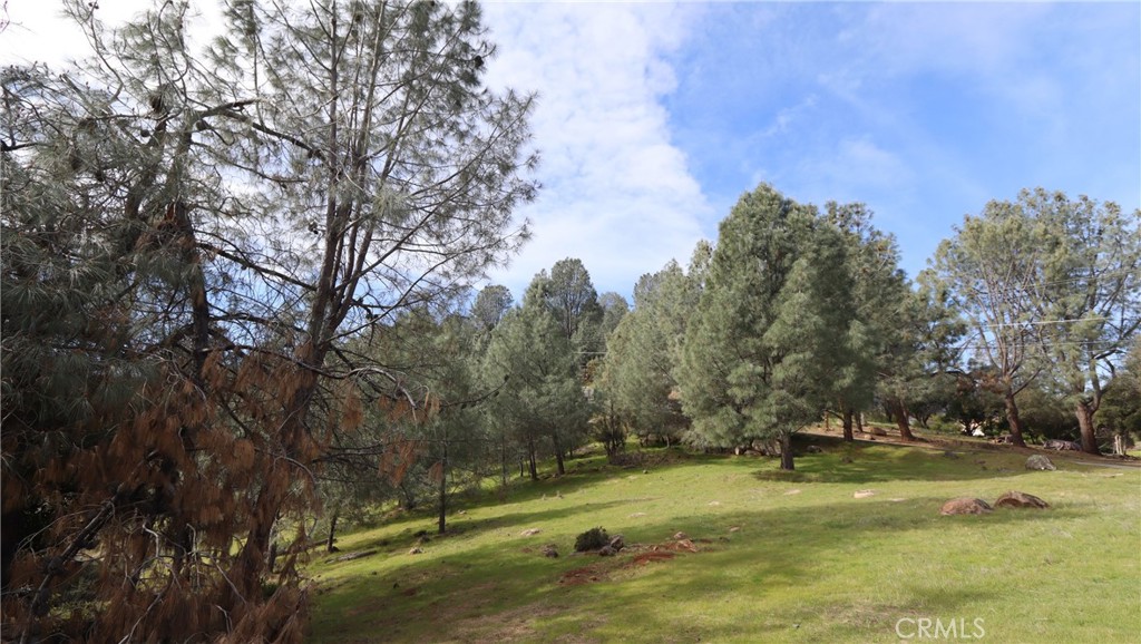 4641 Hawaina Way Property Photo 6