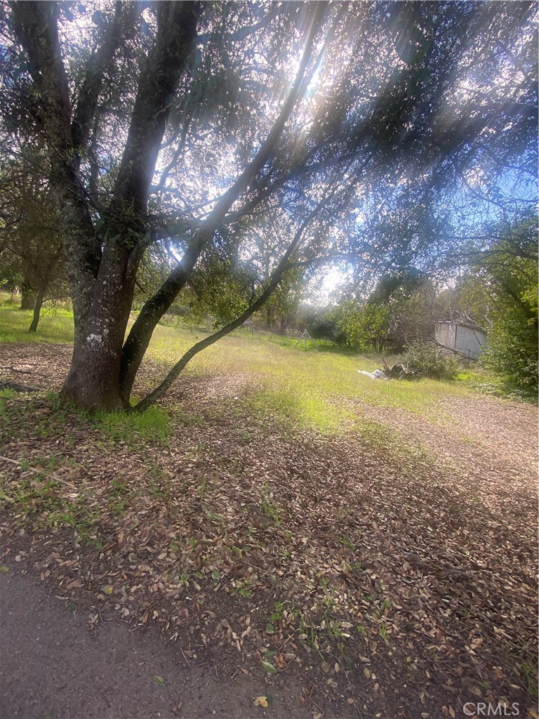7005 Marin Street Property Photo