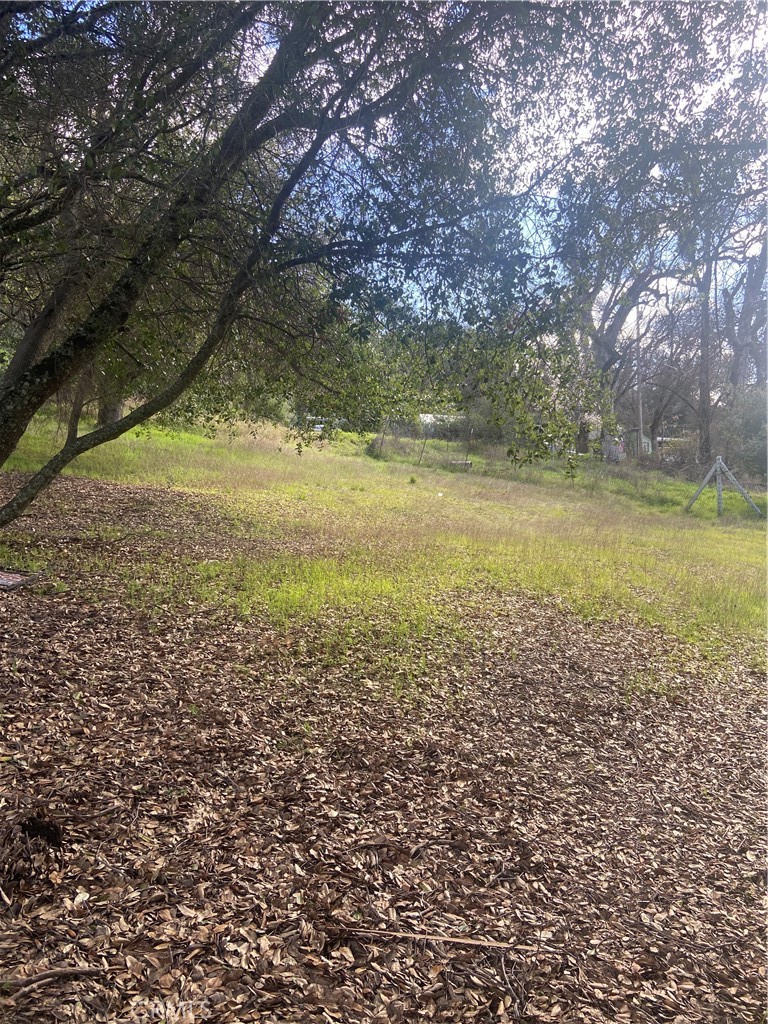7005 Marin Street Property Photo 2