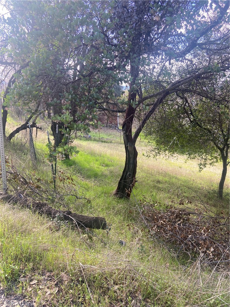 7005 Marin Street Property Photo 4