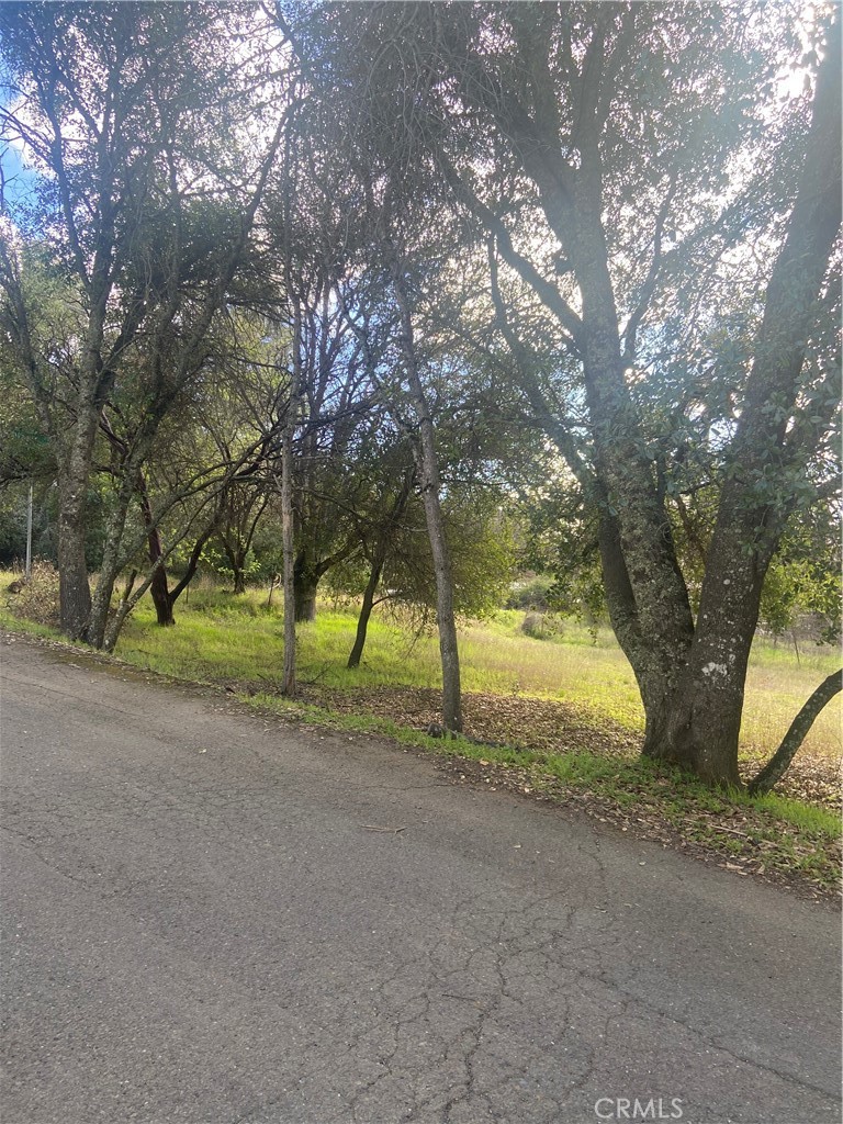 7005 Marin Street Property Photo 11