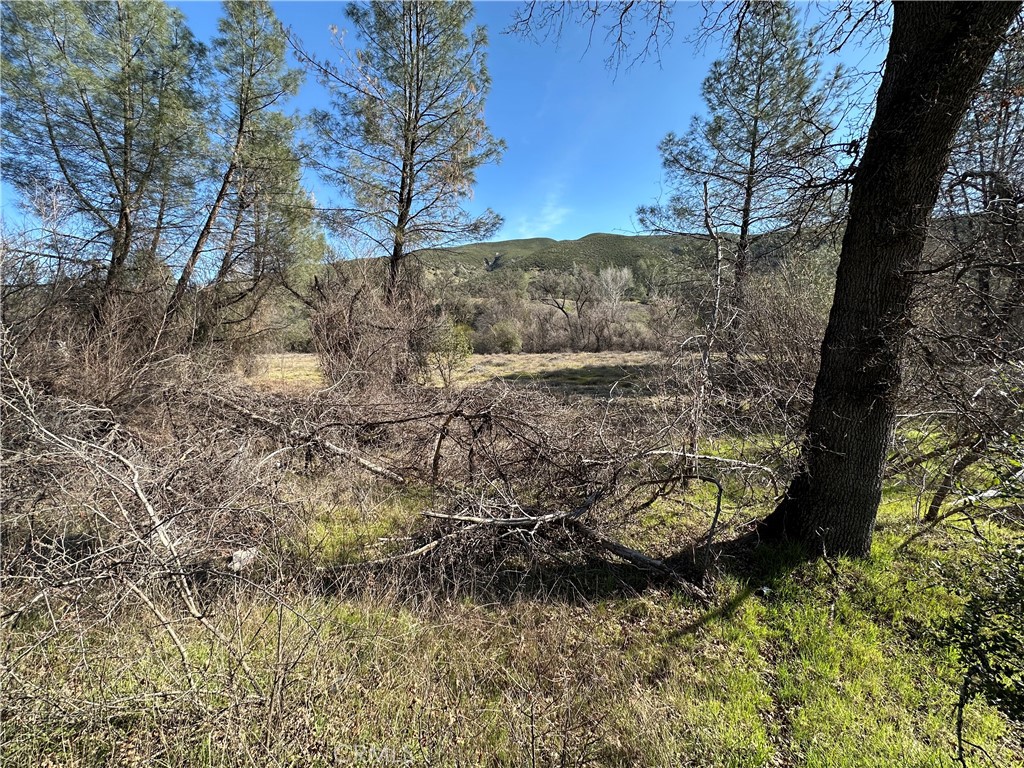 1395 New Long Valley Road Property Photo