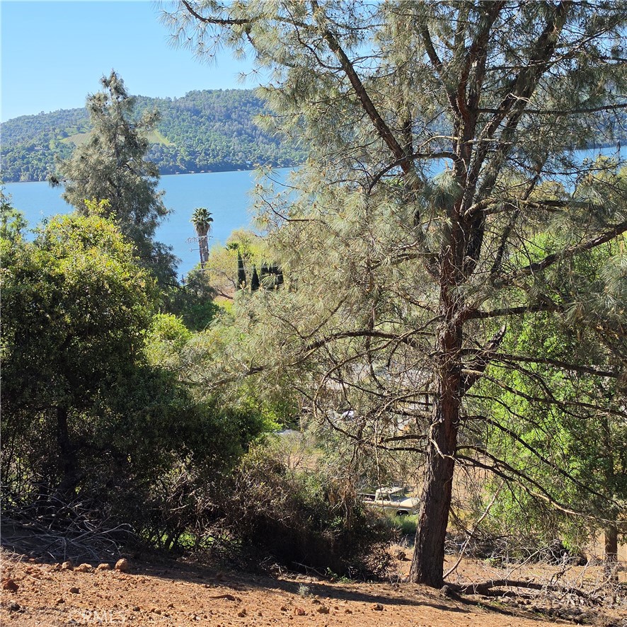 13477 Arrowhead Road Property Photo 2