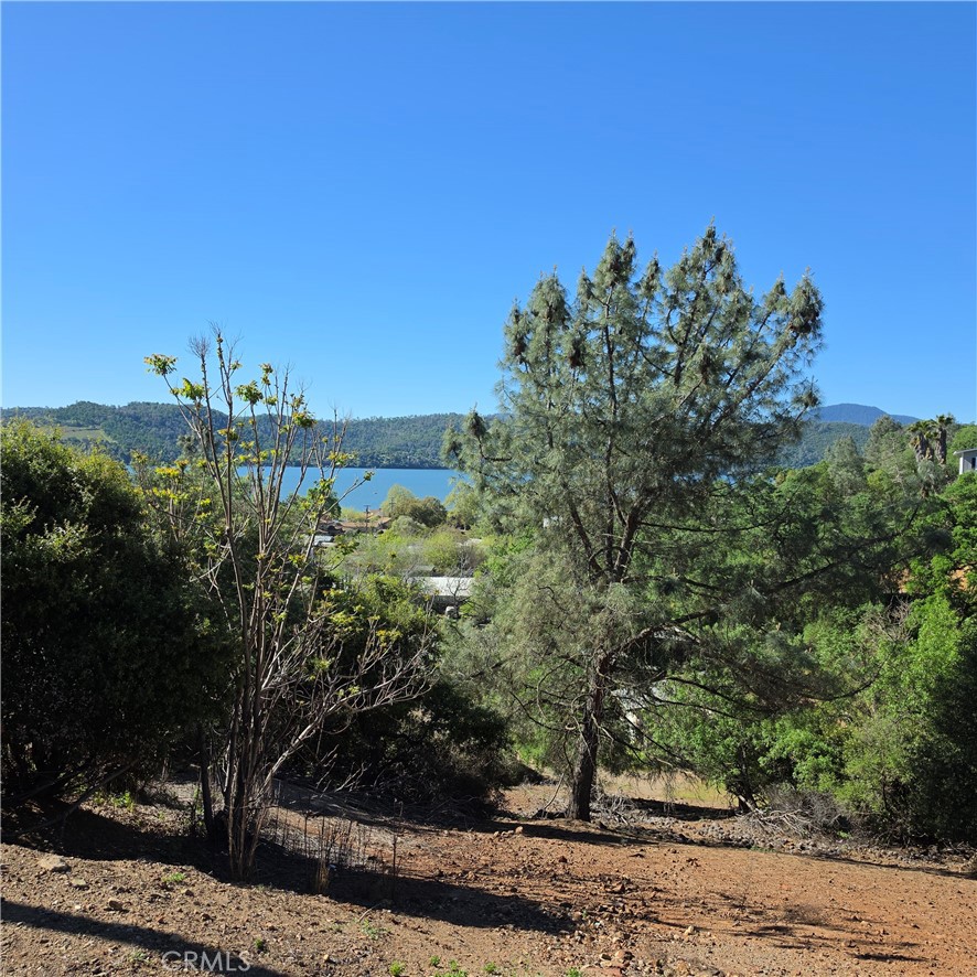 13477 Arrowhead Road Property Photo 3