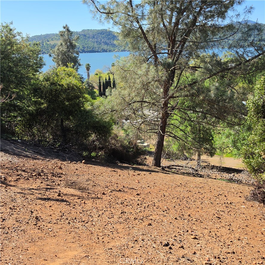 13477 Arrowhead Road Property Photo 4