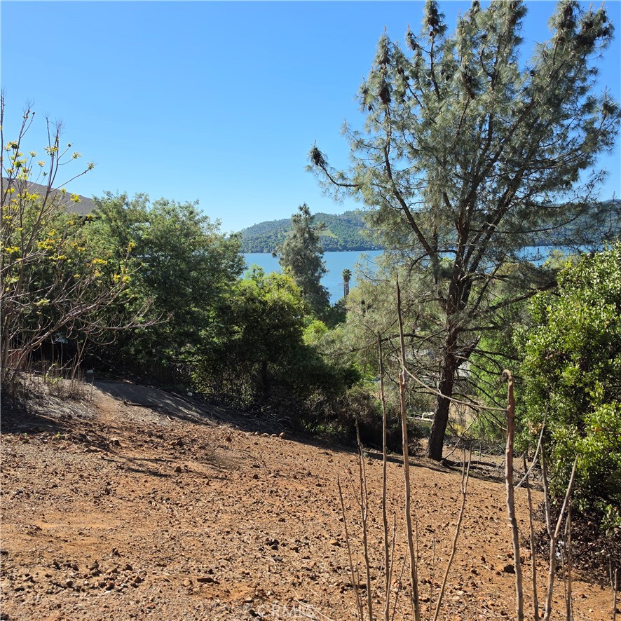 13477 Arrowhead Road Property Photo 5