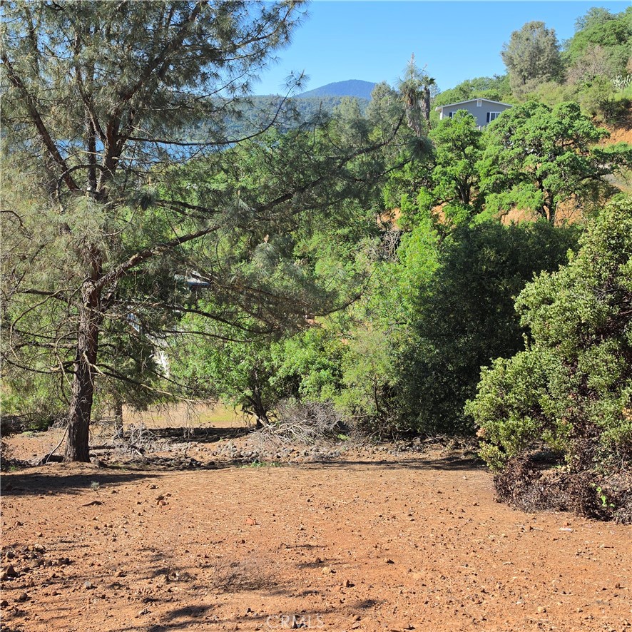 13477 Arrowhead Road Property Photo 6