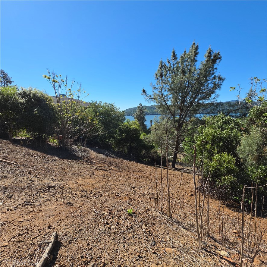 13477 Arrowhead Road Property Photo 7